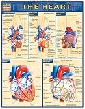 Heart (Quick Study Academic) Heart (Quick Study Academic)