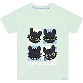 How To Train Your Dragon Shirt, Toothless Girls Short Sleeve Shirt, Kids Tshirt for Summer, Cotton Girls Summer Clothes