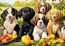 Neoflavie 6 Pack16&35 Dementia Puzzles for