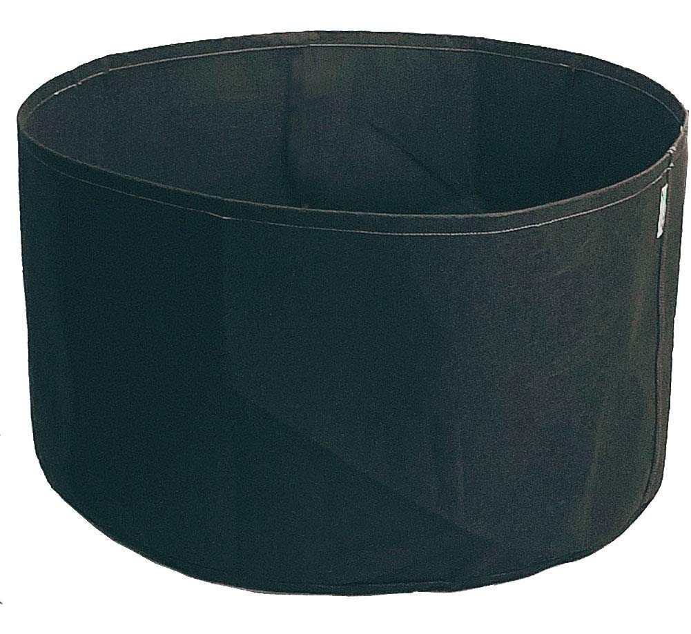 Best Raised Garden Bed For Pets