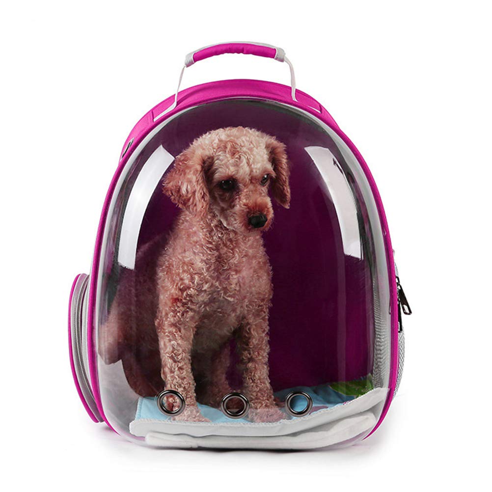 small animal carrying case