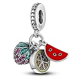 MULA 925 Sterling Silver Charms for Bracelets and