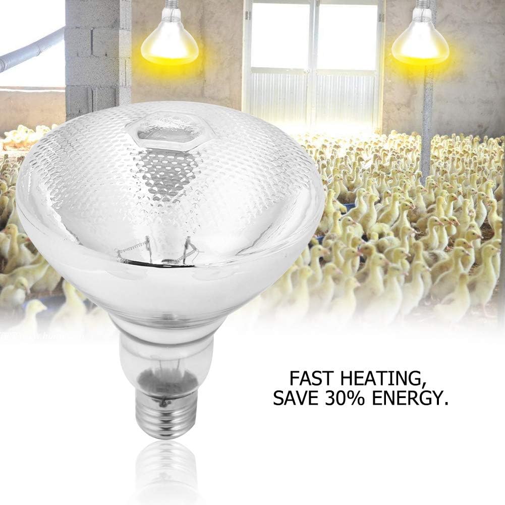 Haofy Poultry Heat Lamp - Image 5