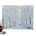Collections Etc Fiber Optic Winter Wonderland Canvas Wall Art