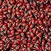 Double Order 3000 Live Ladybugs (2 Packs of 1500) - Beneficial Insects - Fresh Premium Young Ladybugs - Delivered to You Alive Guaranteed - Natural Earth Friendly Green Pest Control 4 You