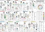 Image de Touch for Health Reference Chart