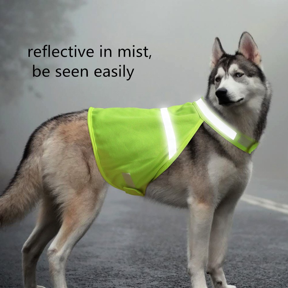 Clan_X Reflective Dog Vest, High-Visible Lightweight Dog Safety Cloth to Keep Dogs Safe, Adjustable Sizes to Fit Small, Medium, Large Breeds for Walking, Hunting, Jogging, Training. (M, Green)