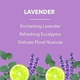 Fabulosa 4 in 1 Disinfectant Lavender Artificial Lawn Cleaner 1L 2 Pack view 2