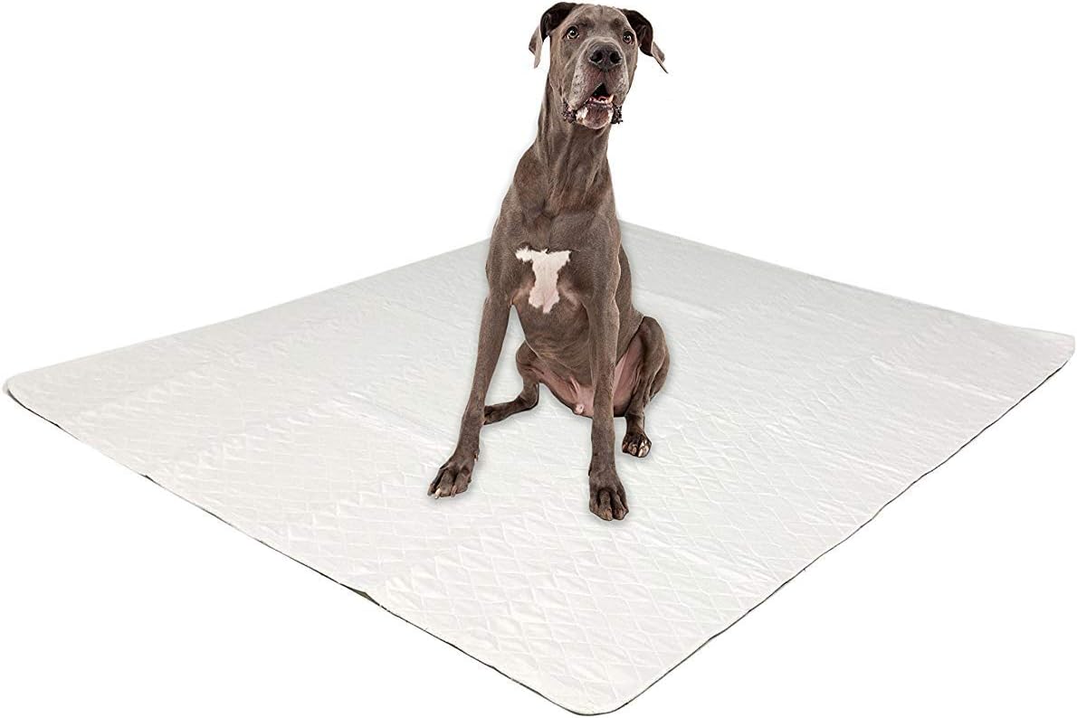 puppy trainer pads 60 x 45