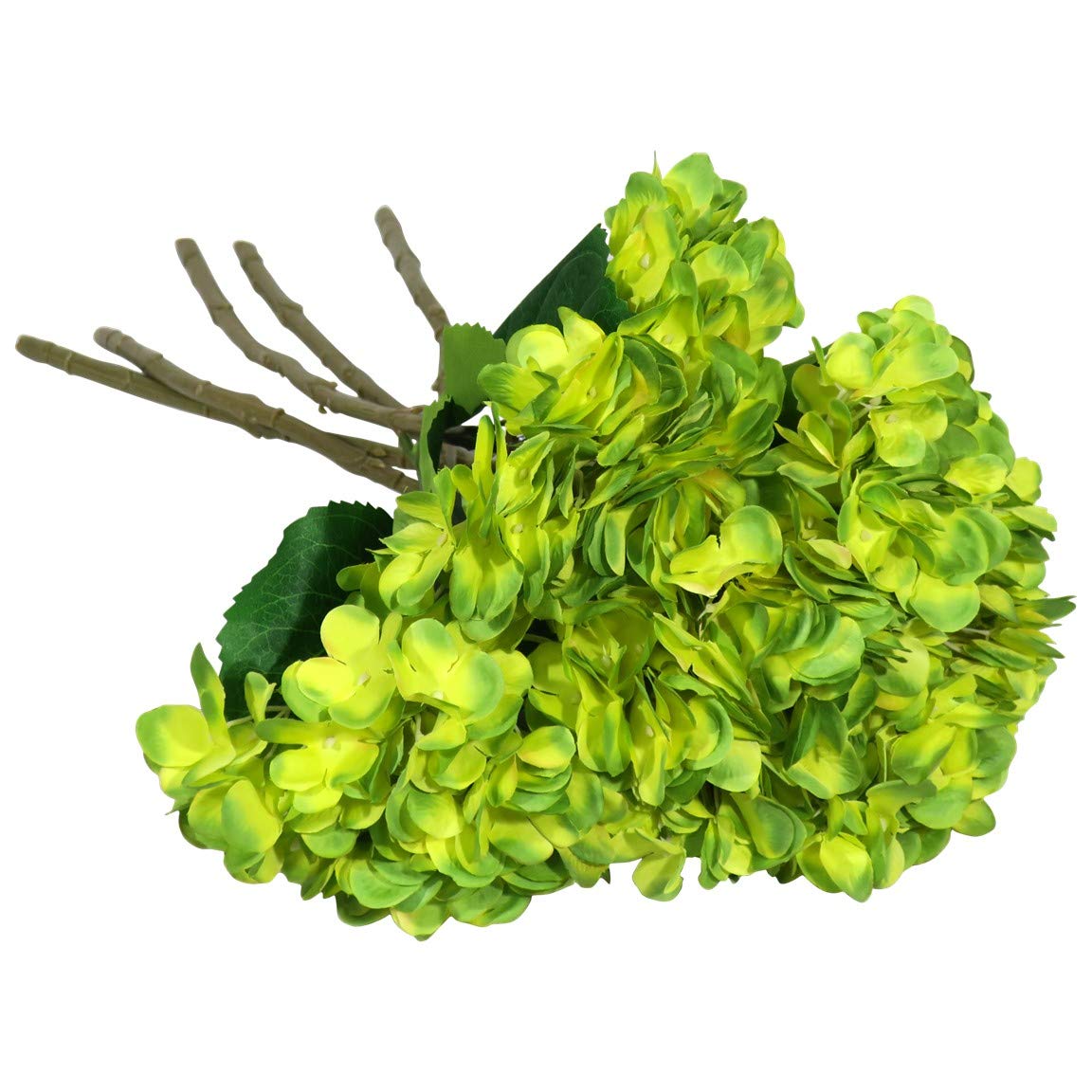 The 10 Best Lime Green Decor For Home