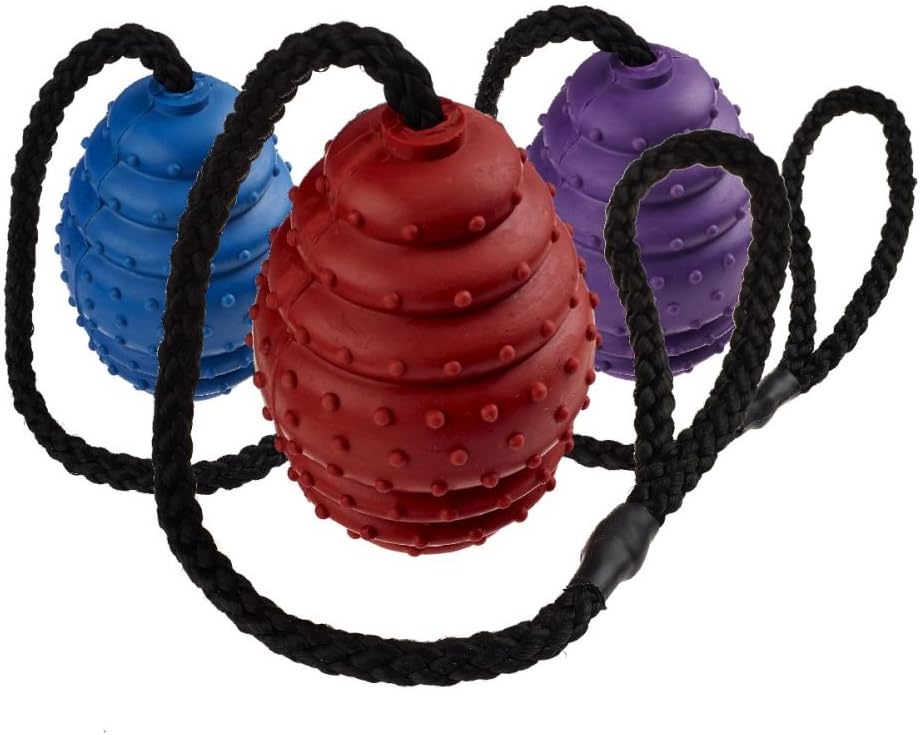 CLASSIC PETBLIS Rubber Oval Ball On A Rope 10cm 4 inches, 100 g, clear