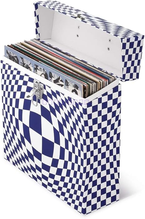 Almacenamiento de discos de vinilo El caso que lleva LP caja del disco