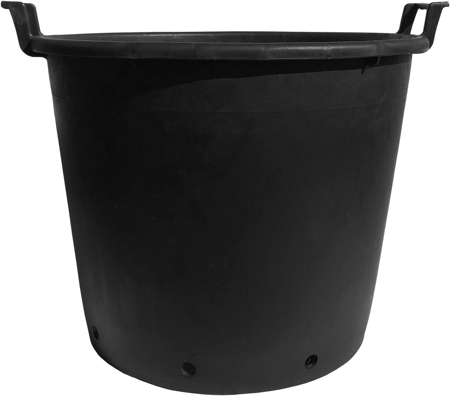 Elixir Gardens large plant, tree, shrub, pots with handles 30,50,60,70