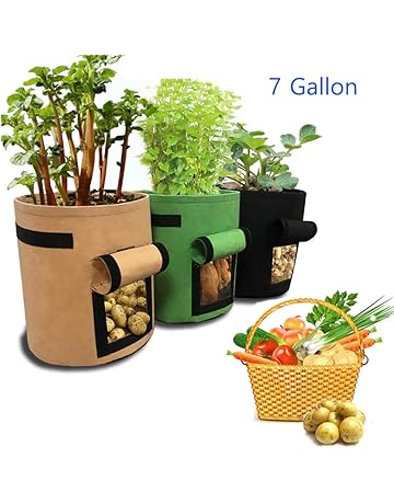 Bolsas para plantas | Amazon.es
