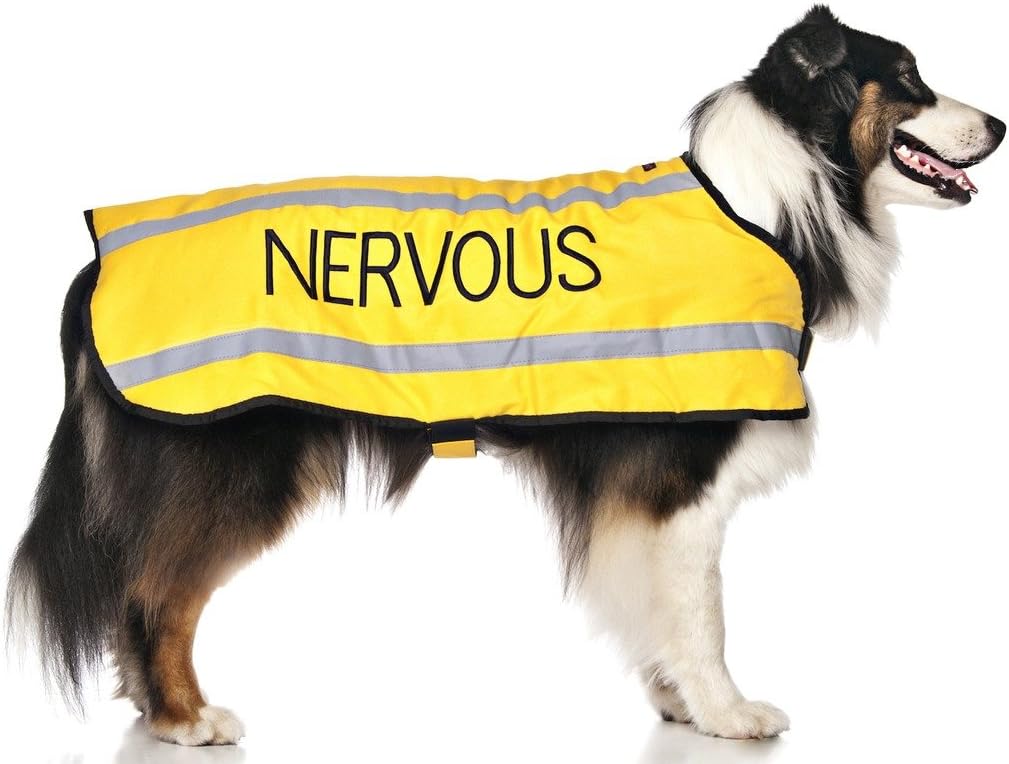 Dexil NERVOUS (Give Me Space) Yellow Colour Coded S M L Reflective Waterproof Fleece Lined Warm Dog Coats PREVENTS Accidents By Warning Others Of Your Dog In Advance (L-XL)