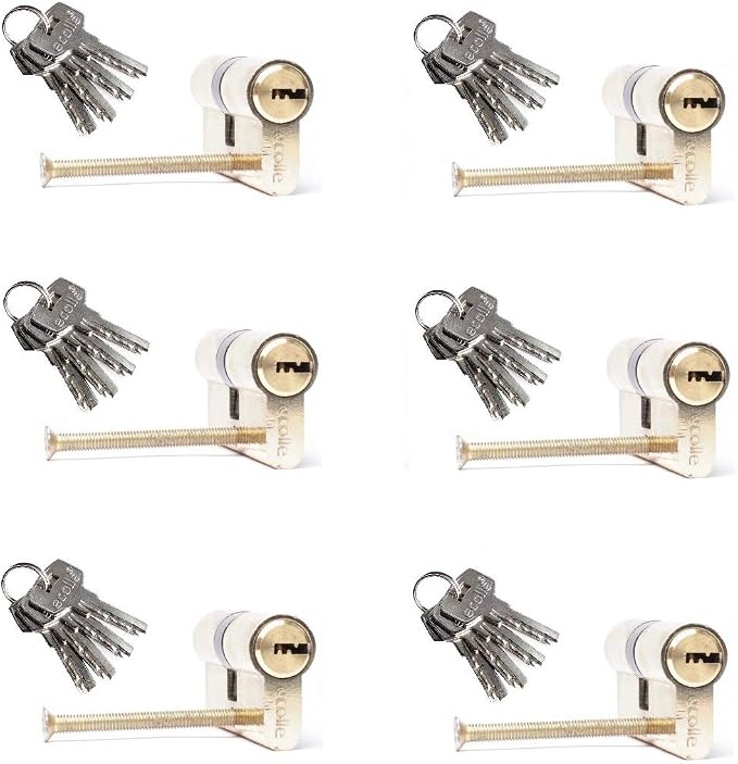 Lot De 6 Serrures à Cylindre Identiques