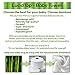 Premium Quality 100% Organic White Bamboo Baby Hooded Bath Towel By Lucid Top – Bathrobe With Hood For Babies & Infants – Non-toxic & Hypoallergenic – Bonus Set Of 2 Washcloths Included