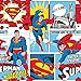Bumkins Waterproof Wet Bag, Washable, Reusable for Travel, Beach, Pool, Stroller, Diapers, Dirty Gym Clothes, Wet Swimsuits, Toiletries, 12x14 – DC Comics Superman