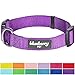 Blueberry Pet Essentials Medium Dog Collar in Dark Orchid | Adjustable & Eco-Friendly Durable Nylon Strap | Classic Collar for Medium Dogs, Boy & Girl Pets