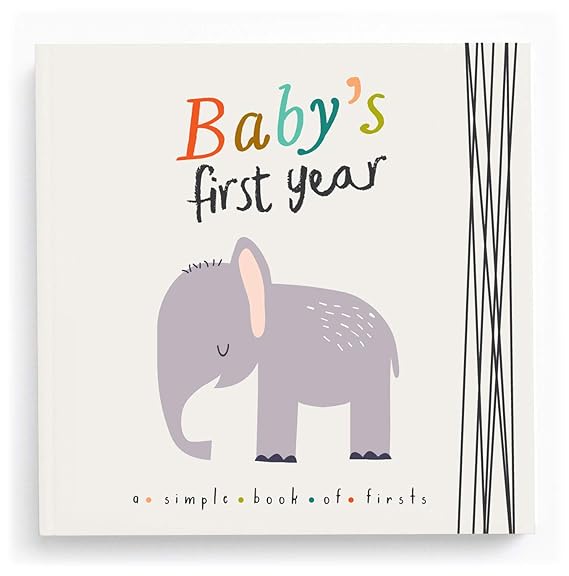 baby's first year a simple book of firsts