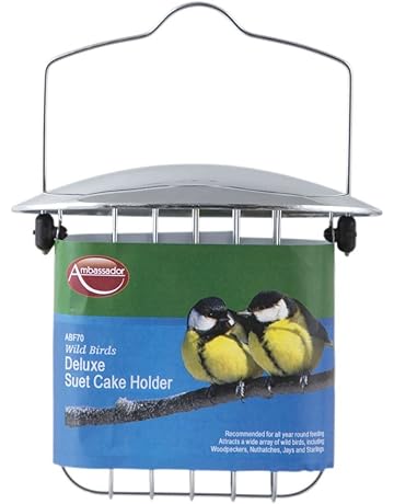 Garden Birds Ambassador Wild Bird Transparent Perspex Window Bird
