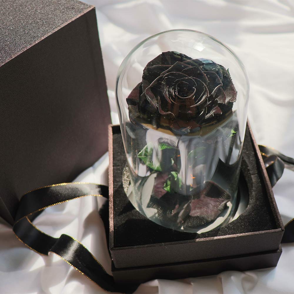 Rose in Glass Dome