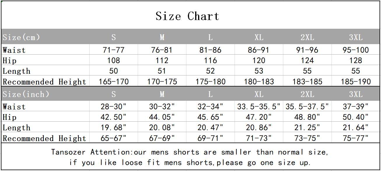 Tansozer Kurze Hose Herren Shorts Sommer Jogginghose Kurz Baumwolle Gym Sweat Shorts Herren Sport (Grau,L) 4