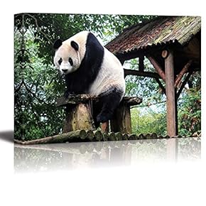 Canvas Prints Wall Art - Cute Animal Giant Panda | Modern Wall Decor/Home Art Stretched Gallery Canvas Wraps Giclee Print & Ready to Hang - 12" x 18"
