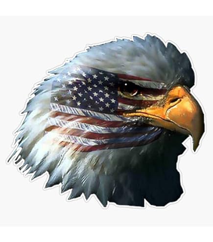 Amazon.com: BZ Trading Bald Eagle Head Vinyl Decal Wall