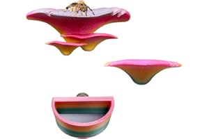 2 Pack Jumping Spider Accessories Mushroom Ledges & 1 Pack Water Bowl with Magnets for Spoods Jumping Spiders Magnetic Ledge 