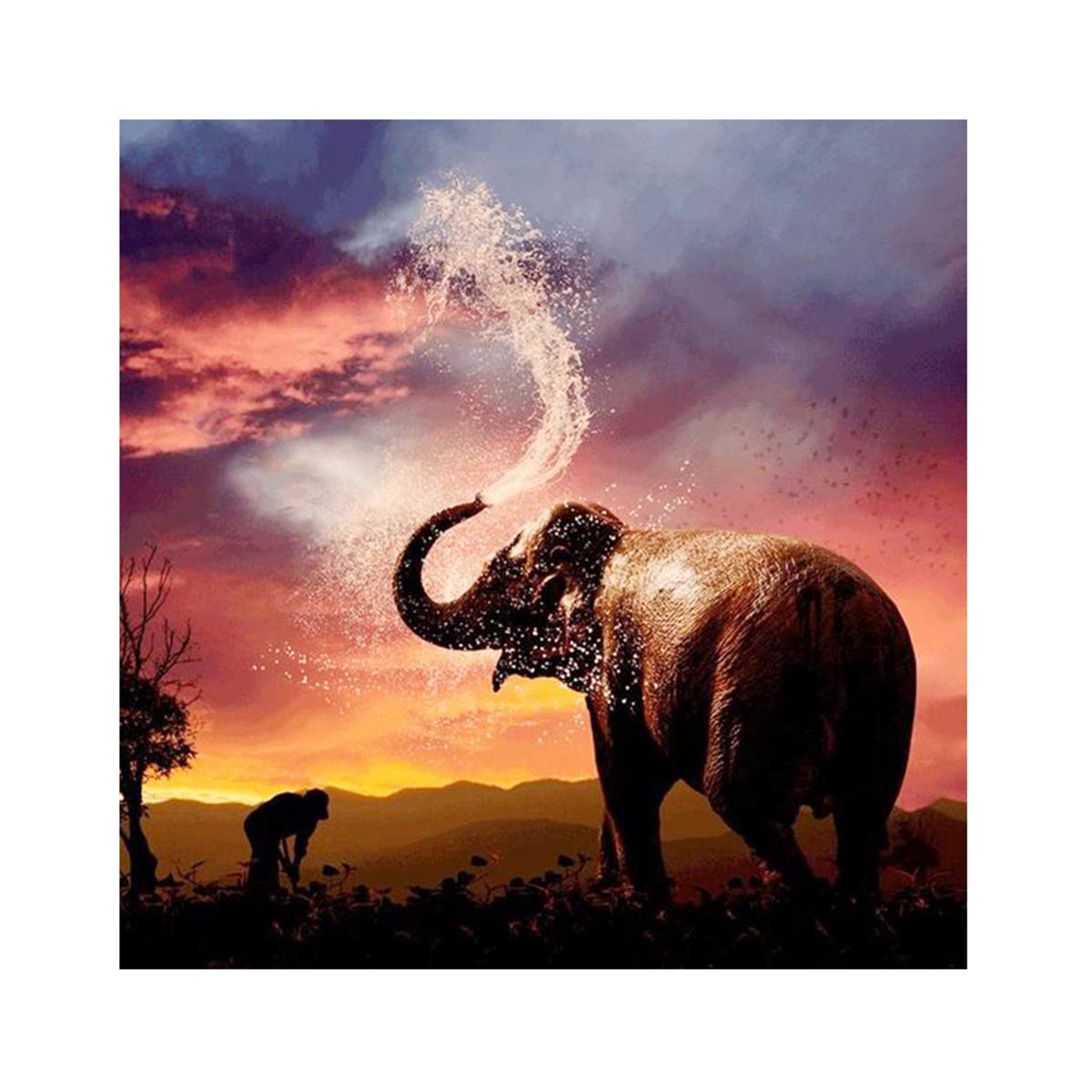 Amazon.com: DIY 5D Diamond Painting Square Full Drill Diamond Art by