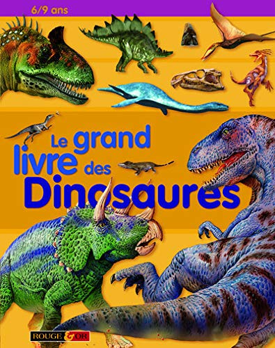 Le grand livre des Dinosaures (French Edition) by (Hardcover)