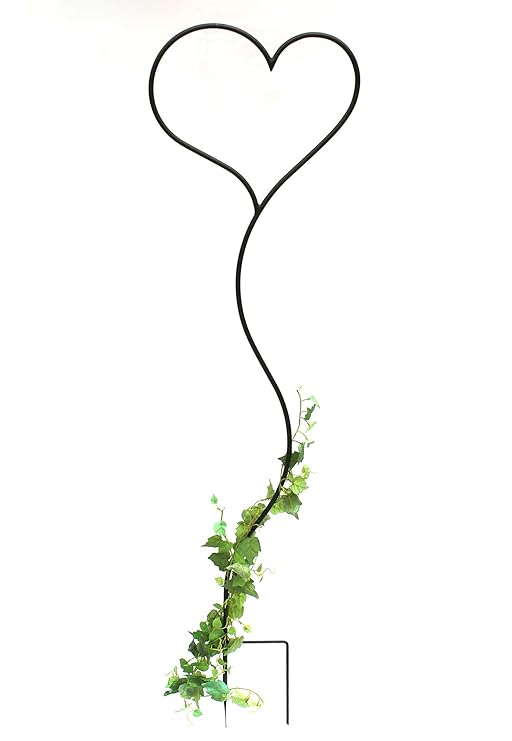 Dandibo Tuteur Pour Plante Grimpante Cœur Support Pour