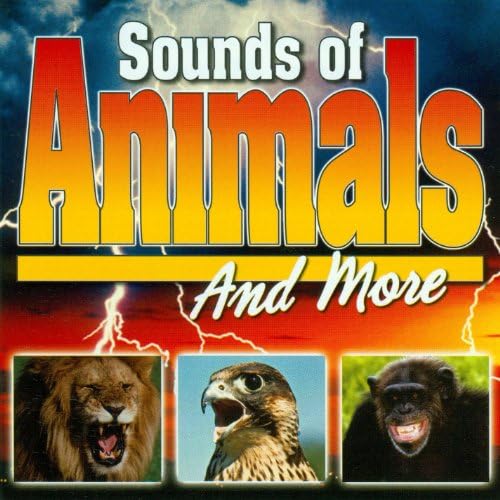 SOUND EFFECTS - Sound Effects: Nature & a 2 - Amazon.com Music