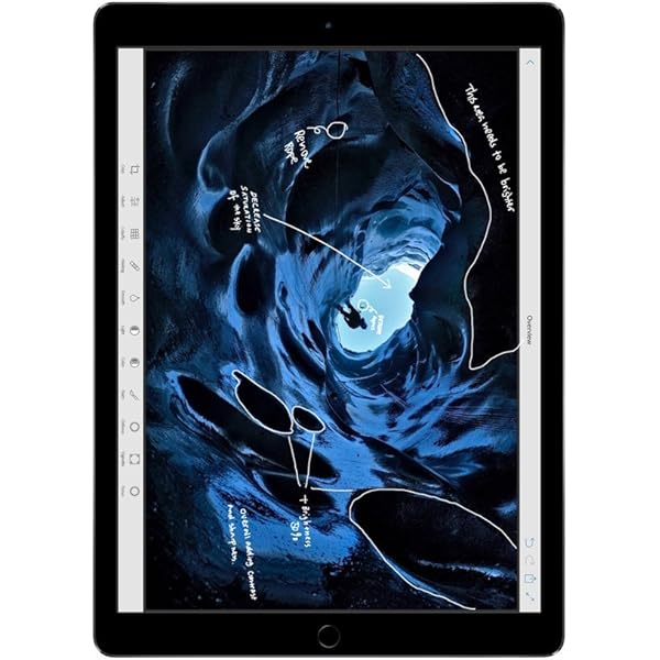 Amazon.com : 2020 Apple iPad Pro (12.9-inch, Wi-Fi + Cellular