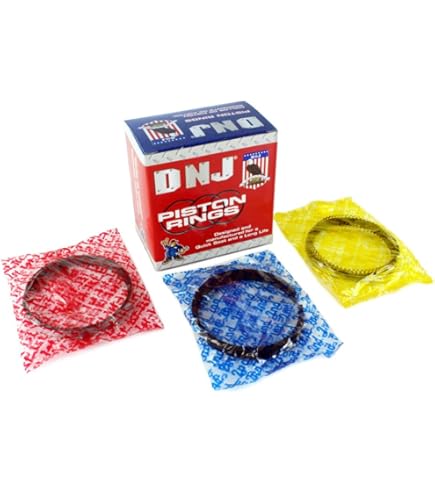 Amazon.com: DNJ P631.20 Oversize Piston Set for 1990-1996