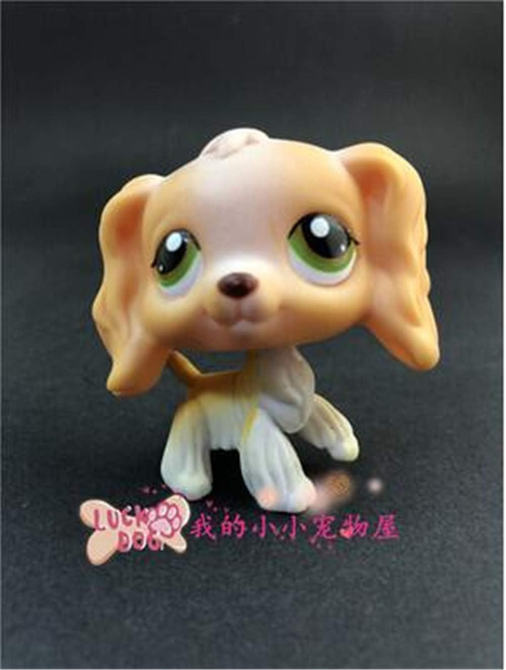 WOOMAX Littlest Pet Shop LPS Toy Cocker Spaniel Dog Tan White Blue Eyes LPS Animal For Boys Girls Kids Gift