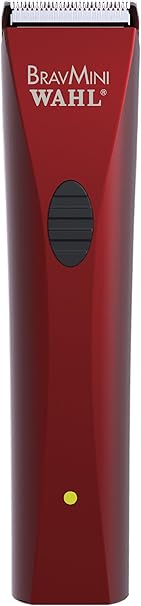 best supplement for itchy dog