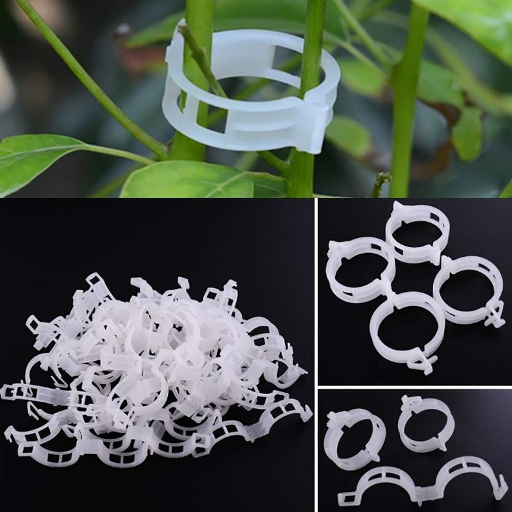 Winmany 100 Pcs Garden Plant Clips for Tomatoes - Connect Plants, Twines, Trellis, Cages, Climbing Plants and Vegetables - Image 3