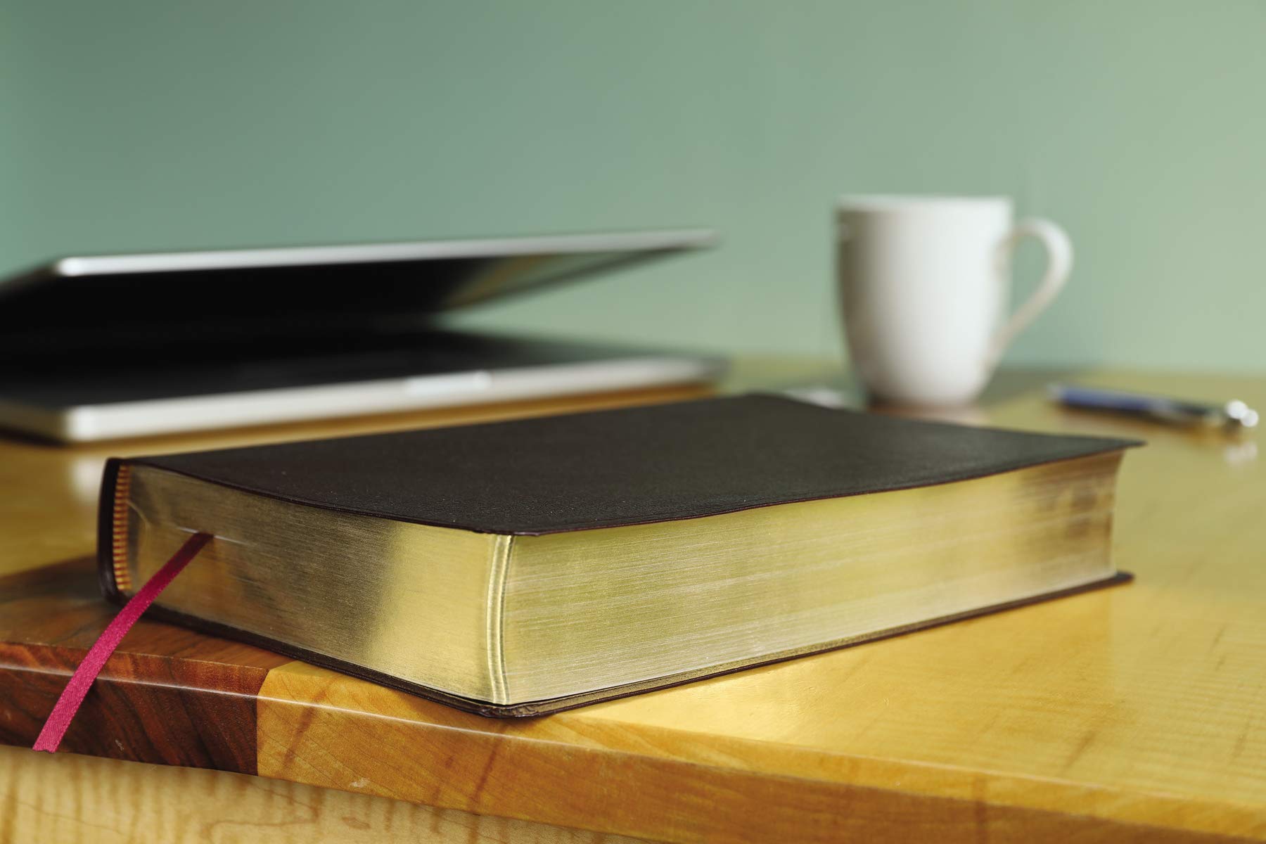 Amplified Holy Bible, Large Print, Bonded Leather, Burgundy: Captures the Full Meaning Behind the Original Greek and Hebrew Amplified Holy Bible, Large Print, Bonded Leather, Burgundy: Captures the Full Meaning Behind the Original Greek and Hebrew Bonded Leather
