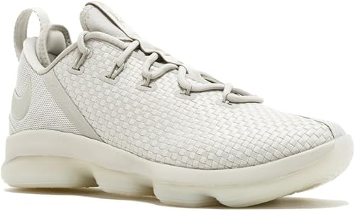 lebron xiv low price