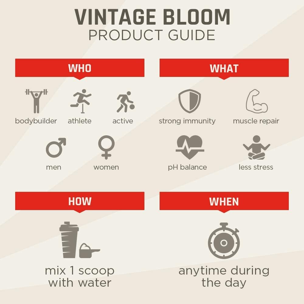 VINTAGE BLOOM Superfood Powder Antioxidant Supplement - 18 Super Greens Ingredients - Immune System Support - Balances pH & Provides Antioxidants - Keto Friendly - Fresh Mint - 30 Servings 120g Powder: Health & Personal Care