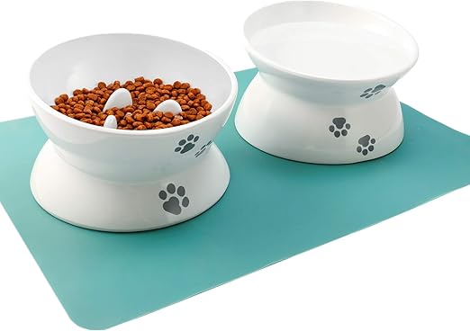 no bowl cat feeder amazon