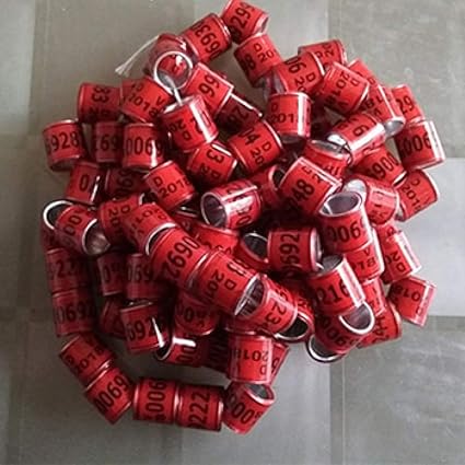 100 Stück Taube Fuß Ring 2019 Wort Ohrringe Qualität langlebig Vogel Ring Fasan Fuß Ring Durchmesser 8mm Vogel Werkzeuge Groß