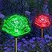 Solar Rose Lights Holiday Outdoor Decoration Color Changing Rose Flower Pathway Garden Stakes for Christmas Thanksgiving Patio Lawn Yard Path Decor by SolarDuke (2 Pack)