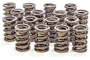 Isky Racing Cams (9315) 1.550" O.D. Valve Spring
