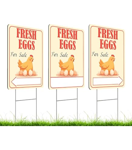 thumbnail image 2 of Mvgges Funny 'Fresh Eggs For Sale' Metal Tin Sign - 16x12 Inch Rustic Novelty Sign For Indoor & Outdoor 2 of 14