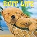 Ruff Life 2019 Wall Calendar by