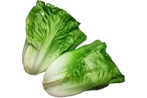 Lorigun Artificial Lettuce, Fake Vegetable, Artificial Vegetables for Decoration, Home Kitchen Decor, PU Vegetable 2 Pcs