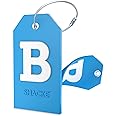 Initial Luggage Tag with Full Privacy Cover and Stainless Steel Loop (Aqua Teal) (B)